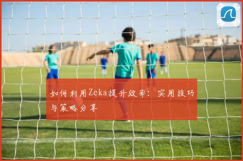 如何利用Zeka提升效率：实用技巧与策略分享