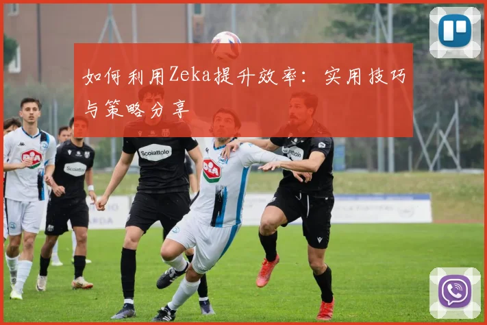 如何利用Zeka提升效率：实用技巧与策略分享