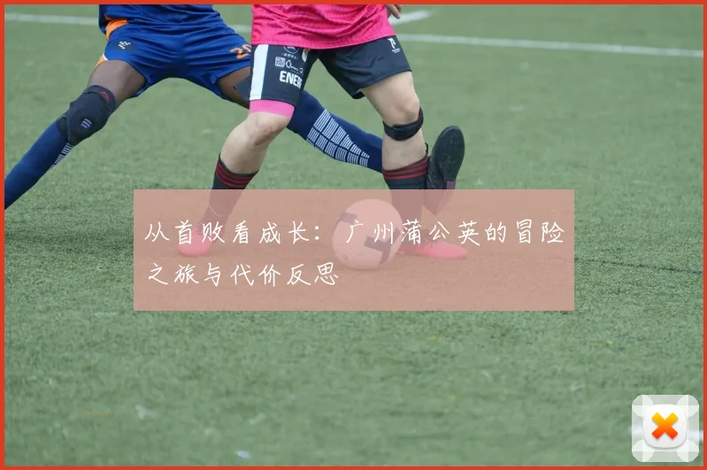 从首败看成长：广州蒲公英的冒险之旅与代价反思